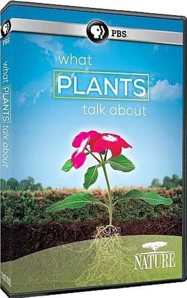 PBSȻ¼ƬֲĶԻ / What Plants Talk About-Ѹ