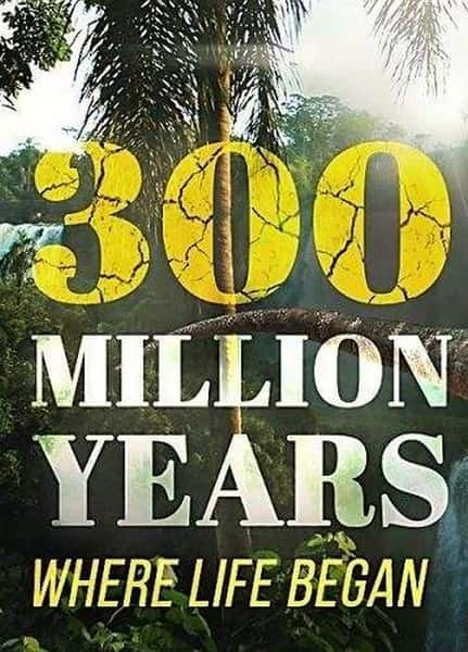 ZDF̽¼Ƭŷ / 300 million years-Ѹ