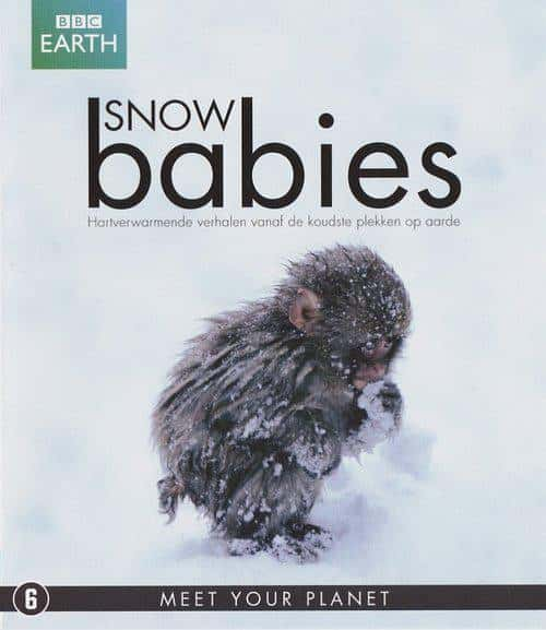 BBCȻ¼Ƭ϶ﱦ / Snow Babies-Ѹ