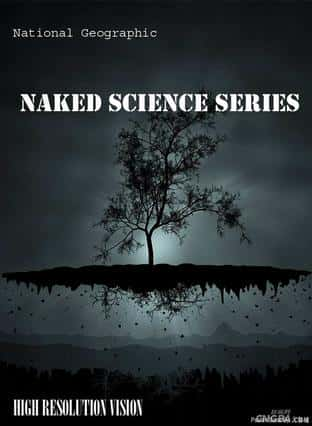 ҵ̽¼Ƭӵо / Naked Science Bullets-Ѹ