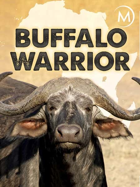 ҵȻ¼Ƭˮţսʿ / Buffalo Warrior-Ѹ