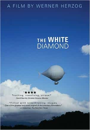 ̽¼Ƭʯ / The White Diamond-Ѹ