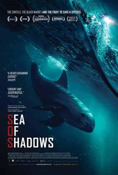 Ȼ¼Ƭ / Sea of Shadows-Ѹ