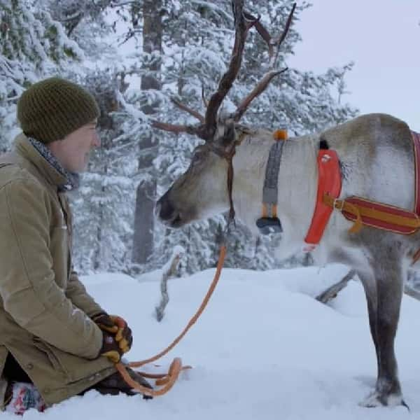 BBCȻ¼Ƭѱ¹һҺ / Reindeer Family &amp; Me / ѱ¹ҡ-Ѹ