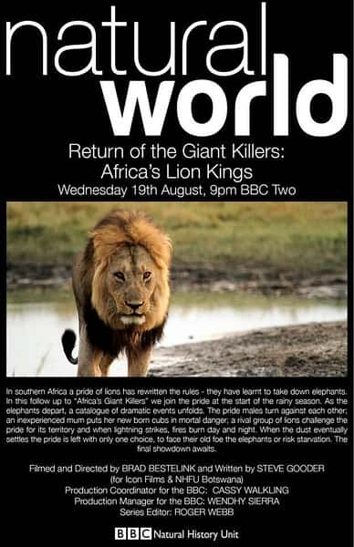 BBCȻ¼Ƭɱֹ / Return Of The Giant Killers - Africa's Lion Kings-Ѹ