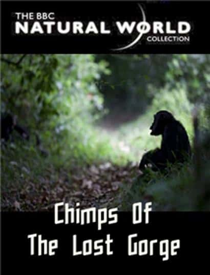 BBCȻ¼ƬʧϿȵĺ / The Natural World: Chimps of the Lost Gorge-Ѹ