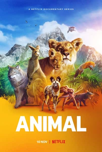 NetflixȻ¼Ƭﱾɫ һ / Animal Season 1-Ѹ