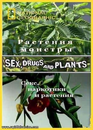 ҵ̽¼Ƭֲİ / Sex, Drugs And Plants-Ѹ