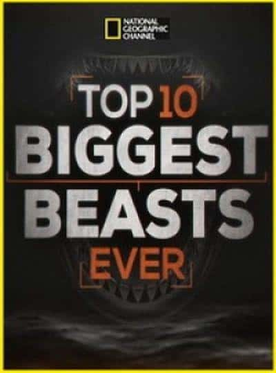 ҵ̽¼Ƭʮа / Top 10 Biggest Beasts Ever-Ѹ