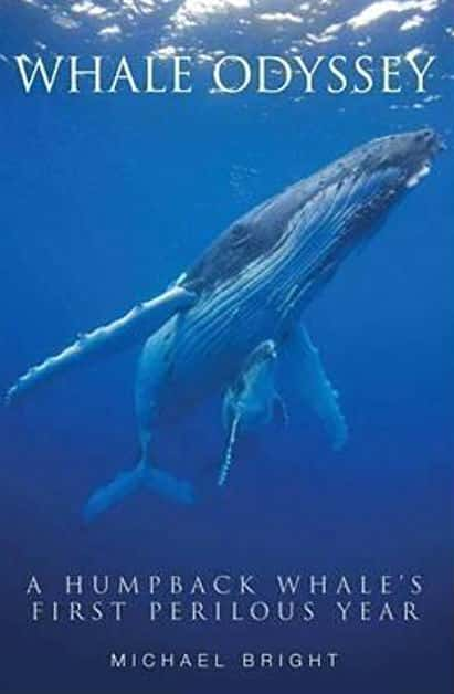 ҵȻ¼ƬСռ / Blue Whale Odyssey-Ѹ