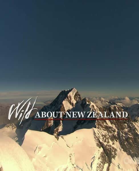 Ȼ¼ƬĿҰ֮ / Wild About New Zealand-Ѹ