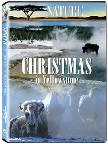 PBSȻ¼Ƭʯʥ / Nature Christmas in Yellowstone-Ѹ