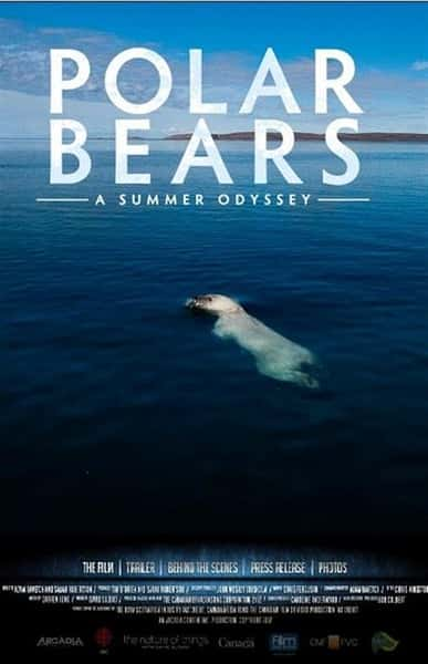 IMAXȻ¼Ƭܣһİµ / Polar Bears: A Summer Odyssey-Ѹ