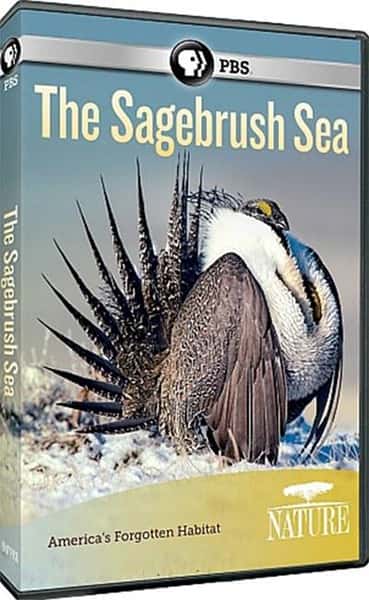 PBSȻ¼Ƭຣ / The Sagebrush Sea-Ѹ