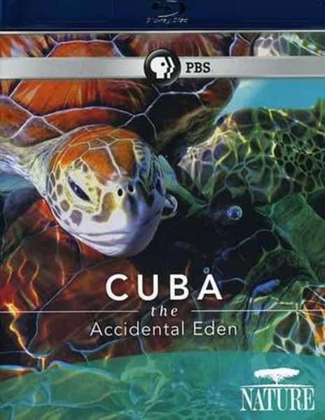 PBSм¼ƬŰͣ԰ / Nature Cuba: The Accidental Eden-Ѹ