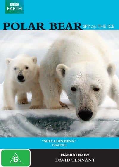 BBCȻ¼Ƭܣ̽ / Polar Bear Spy on the Ice-Ѹ