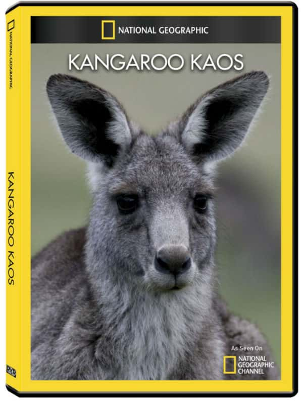 ҵȻ¼Ƭɧ / Kangaroo Kaos-Ѹ