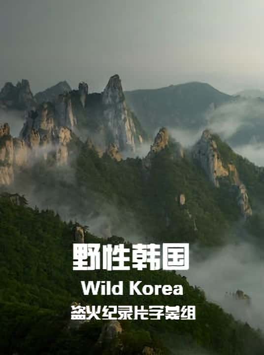 PTSȻ¼ƬҰԺ / Wild Korea-Ѹ