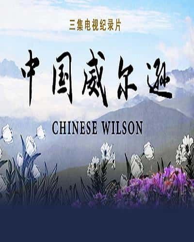 CCTV̽¼Ƭйѷ / Chinese Wilson-Ѹ