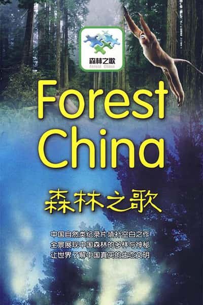 CCTVȻ¼Ƭɭ֮ / Forest China-Ѹ