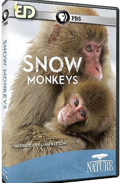 PBSȻ¼ƬѩԳ / Nature snow monkeys-Ѹ