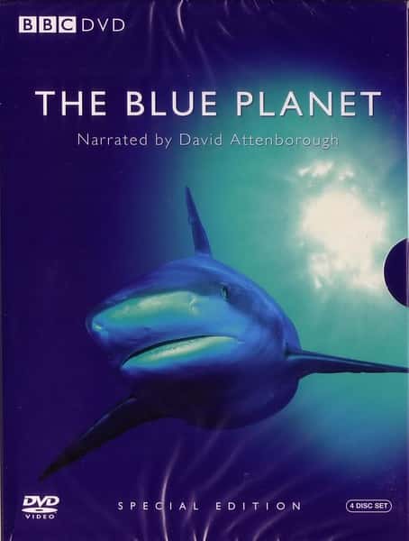 BBCȻ¼Ƭɫ / The Blue Planet-Ѹ