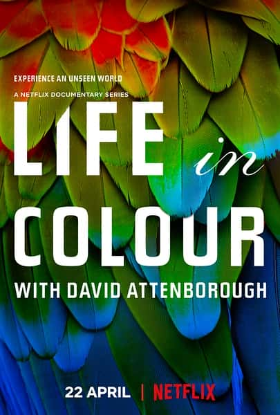 BBC纪录片《生命之色 Life In Colour 自然本色》全集[720P][有字幕][网盘]