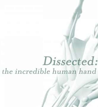 BBC纪录片《剖析手足：不可思议的人体 / Dissected The Incredible Human》全集高清纪录片下载