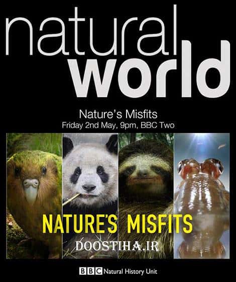 BBC纪录片《大自然里的奇怪动物 / Nature's Misfits》全集高清纪录片下载