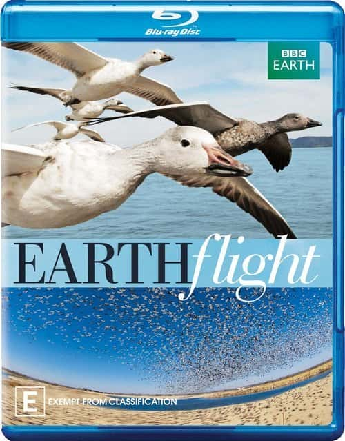 BBC纪录片《飞跃地球 Earth Flight 》全集[720P][有字幕][网盘]