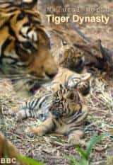 BBC纪录片《自然世界 虎之王朝 / Tiger Dynasty》全集高清纪录片下载
