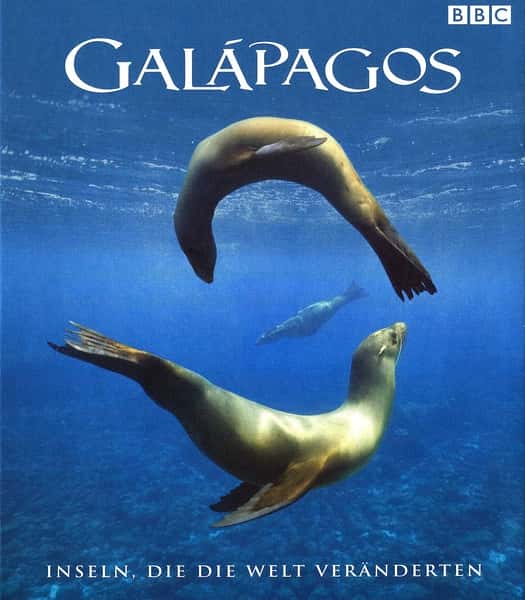 BBCȻ¼Ƭ˹Ⱥ / Galpagos-Ѹ