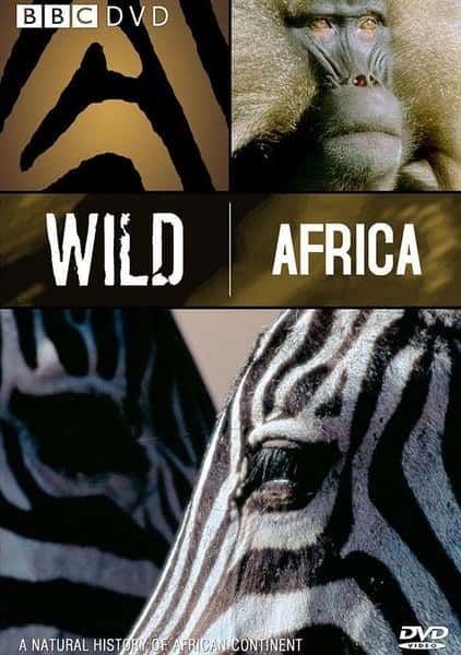 BBC纪录片《野性非洲：非洲长河 Wild Africa: River of life》全集[720P][有字幕][网盘]