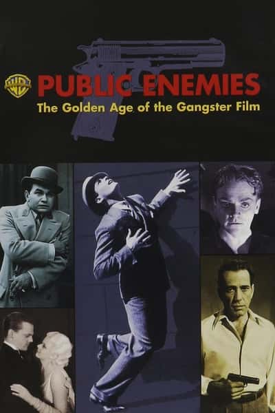 纪录片《公众之敌：黑帮电影的黄金时代 / Public Enemies: The Golden Age of the Gangster Film》-高清完整版网盘迅雷下载
