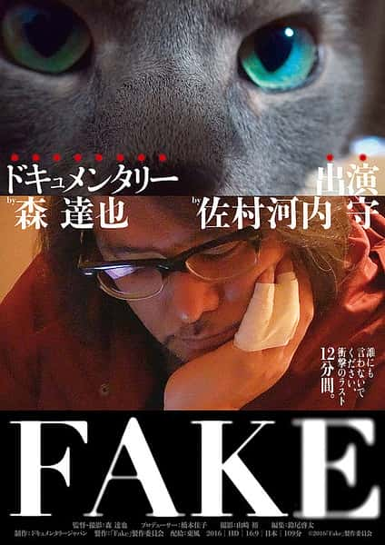 纪录片《FAKE》全集[720P][有字幕][网盘]