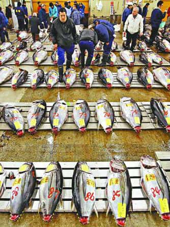 NHK纪录片《筑地世界最大的鱼市 / 不可思议之手》-高清完整版网盘迅雷下载