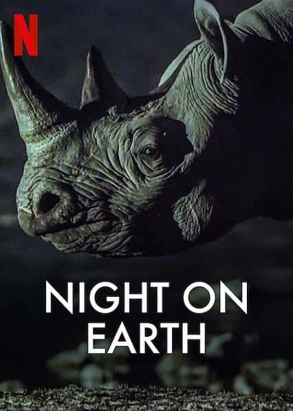 Netflix纪录片《地球的夜晚 / Night on Earth 》-高清完整版网盘迅雷下载