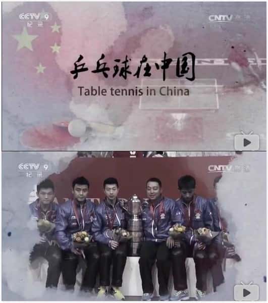 CCTV纪录片《乒乓球在中国 / 乒乓球在中国》-高清完整版网盘迅雷下载