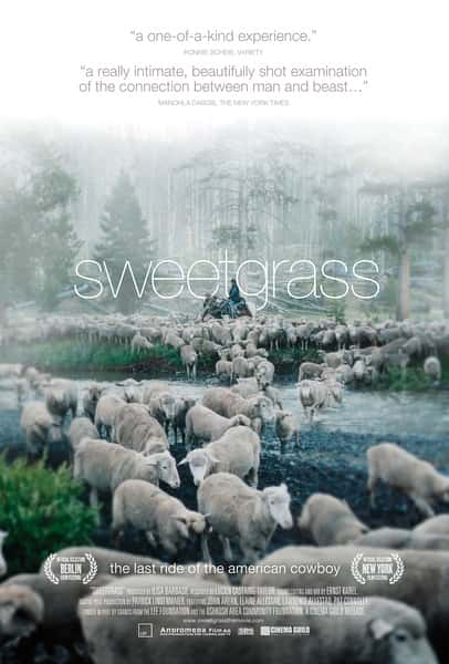 ¼Ƭ / Sweetgrass-Ѹ