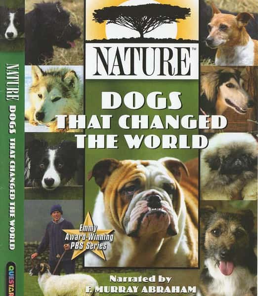 ¼ƬıȮ / Dogs That Changed The World-Ѹ