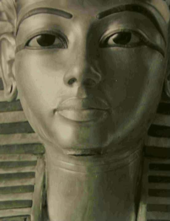 ¼Ƭ¼ͼ̹֮Ĺ / The Man Who Shot Tutankhamun-Ѹ