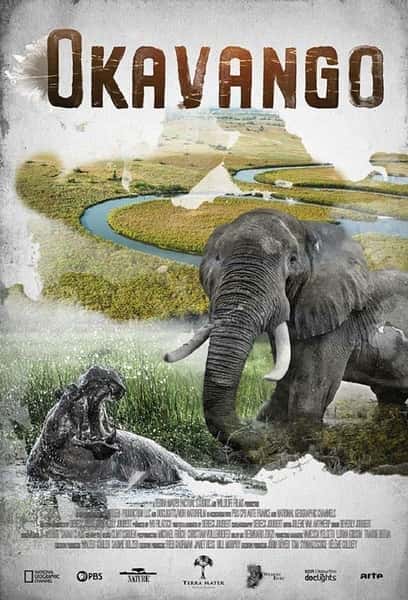 [PBS][Ȼ]¼Ƭ¿꣺֮ / Okavango: River of Dreams-Ѹ