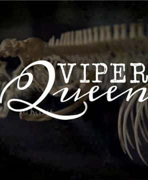 国家地理纪录片《毒蛇女王/ Viper Queens》-高清完整版网盘迅雷下载