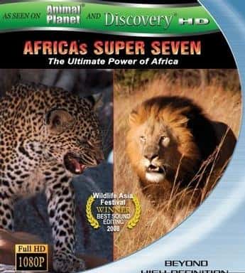 ¼Ƭ޳ / Africa's Super Seven-Ѹ