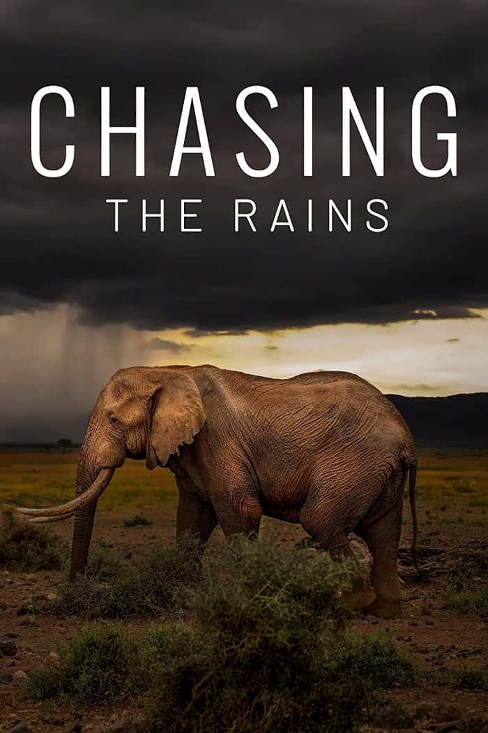 [BBC][Ȼ]¼Ƭ׷ˮ / Chasing the Rains-Ѹ