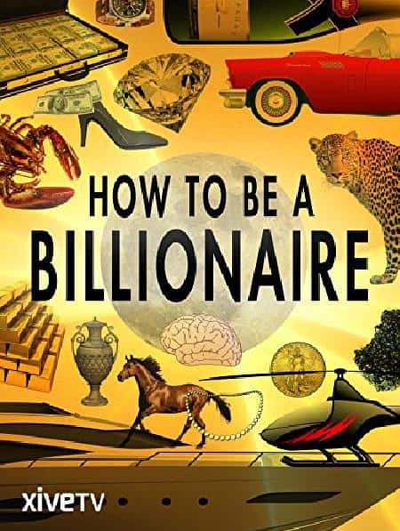 ¼ƬγΪ / How to Be a Billionaire-Ѹ