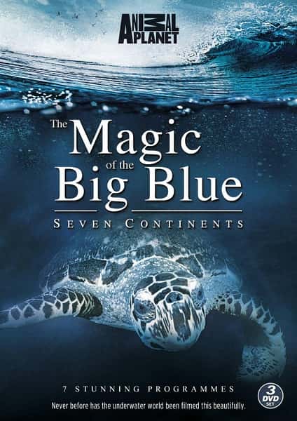 ¼Ƭε / Magic of the Big Blue-Ѹ