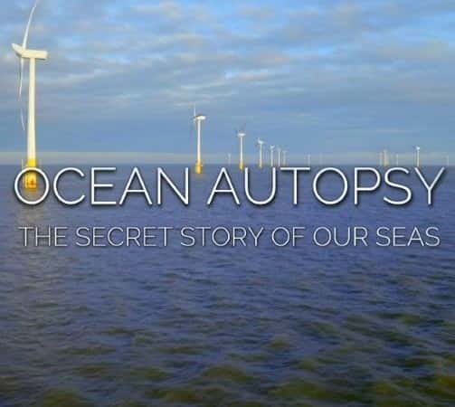 ¼ƬʺǺ / Ocean Autopsy: The Secret Story of Our Seas-Ѹ