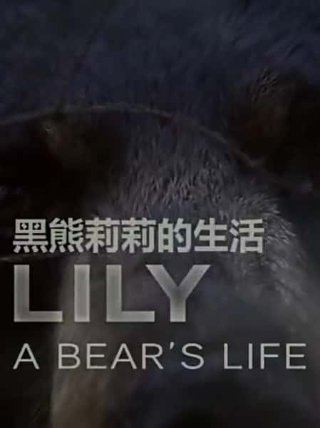 ¼Ƭ һͷܵ / Lily, A Bear's Lif-Ѹ