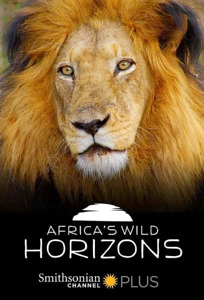 [Smithsonian][Ȼ]¼Ƭ޿Ұƽ / Africa's Wild Horizons-Ѹ